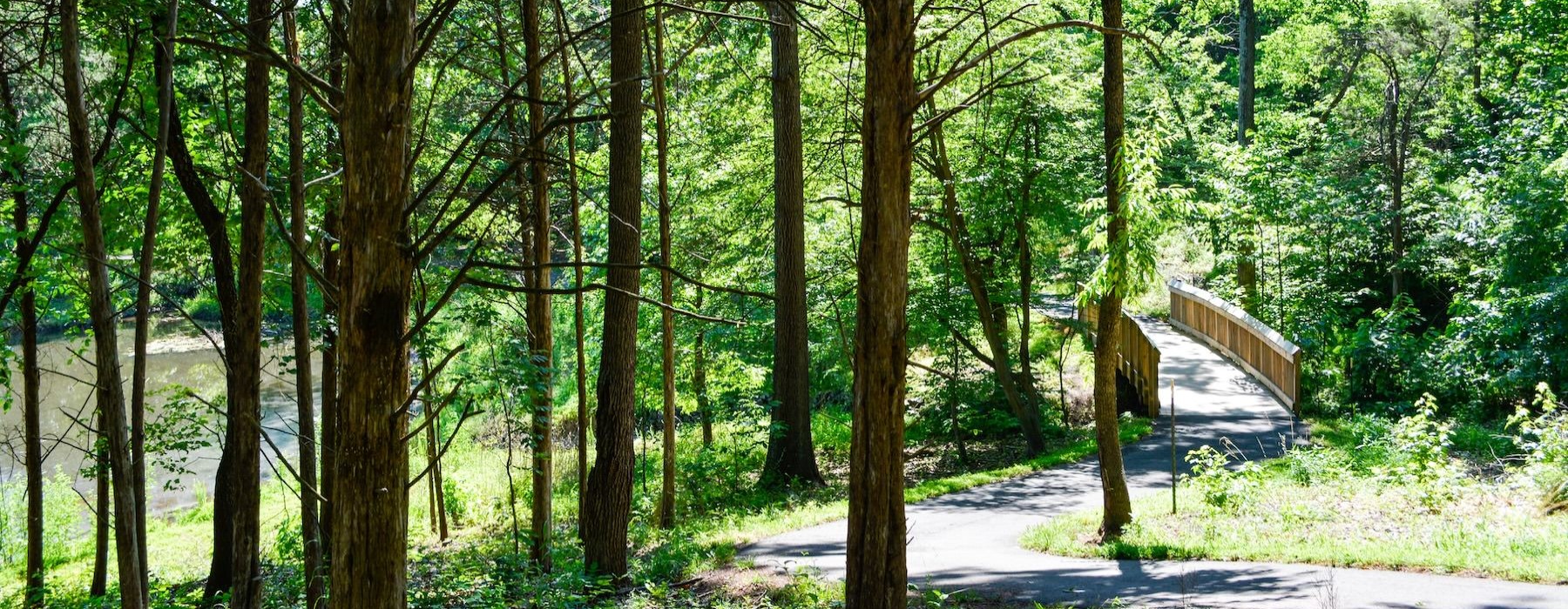 a park with trees and a bridge