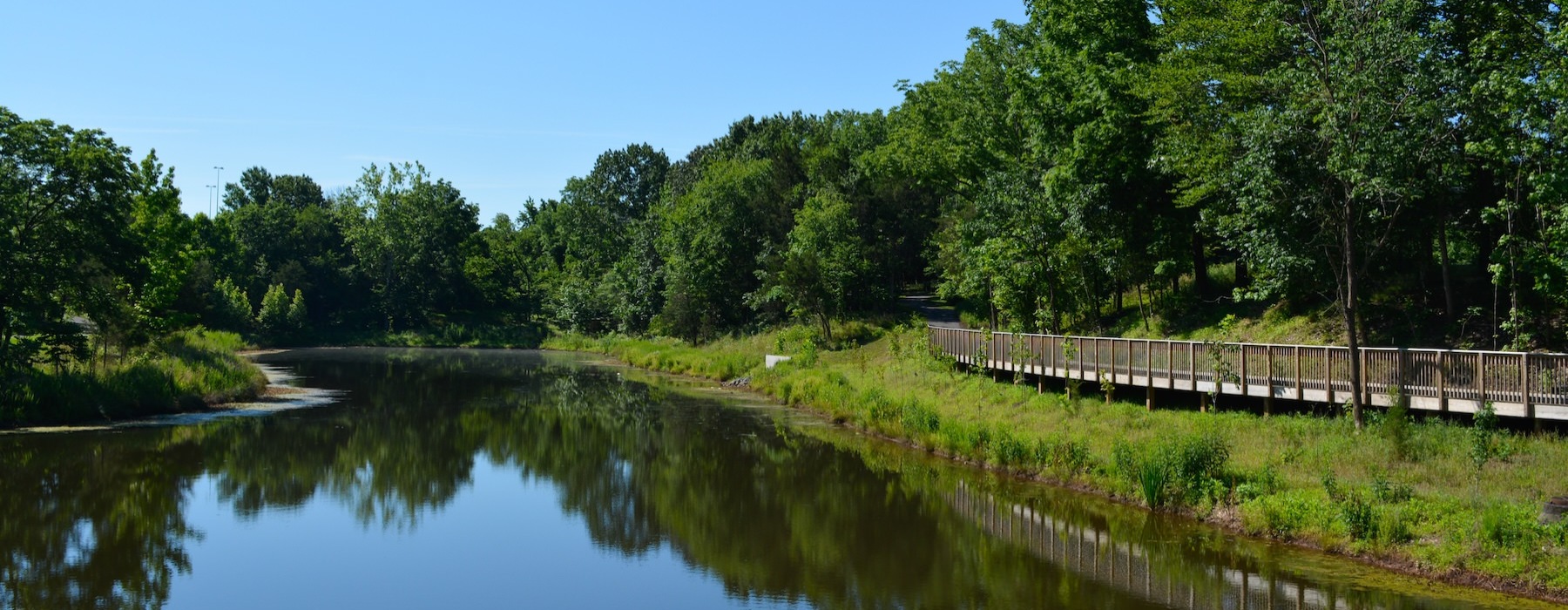 a body of water with trees around it